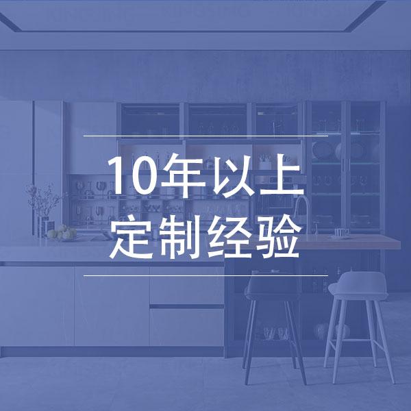 10年以上定制经验